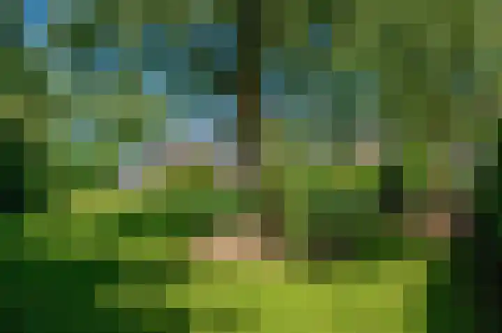 Ericalaan 32 Oude Pekela thumbnail 62
