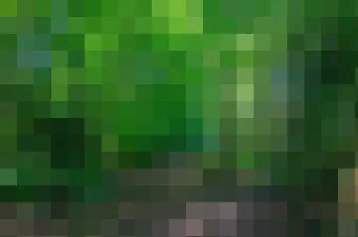 Ericalaan 32 Oude Pekela thumbnail 63