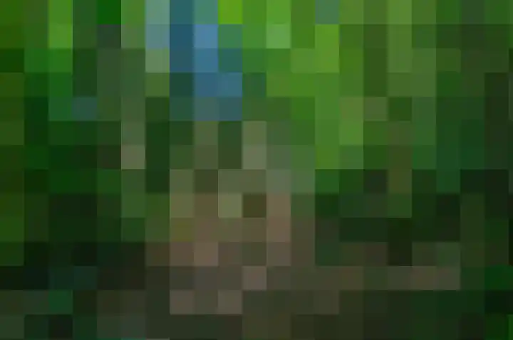 Ericalaan 32 Oude Pekela thumbnail 64