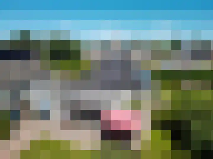 Ericalaan 32 Oude Pekela thumbnail 65
