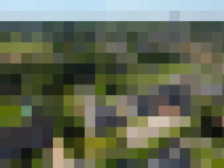 Ericalaan 32 Oude Pekela thumbnail 67