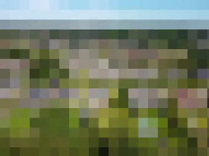 Ericalaan 32 Oude Pekela thumbnail 68