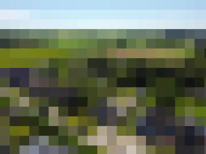 Ericalaan 32 Oude Pekela thumbnail 69