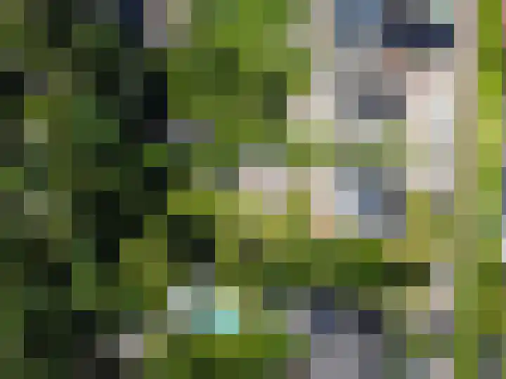 Ericalaan 32 Oude Pekela thumbnail 70