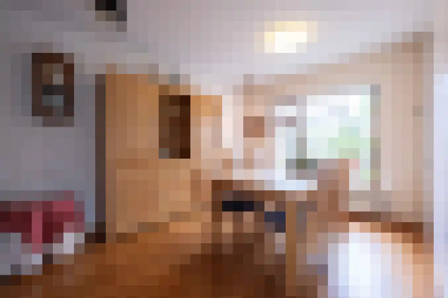 Ericalaan 35 Hoeven thumbnail 12
