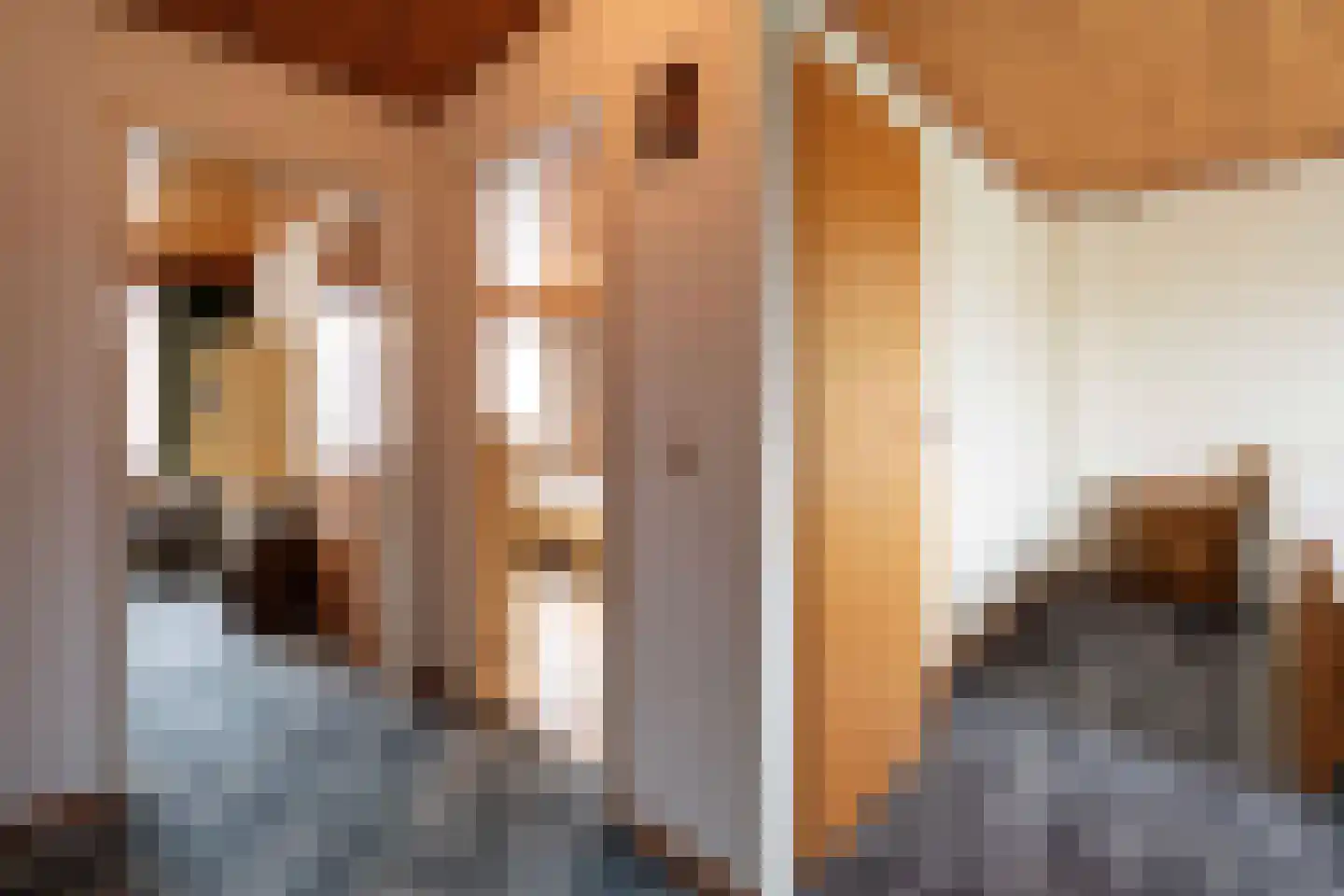 Ericalaan 35 Hoeven thumbnail 24