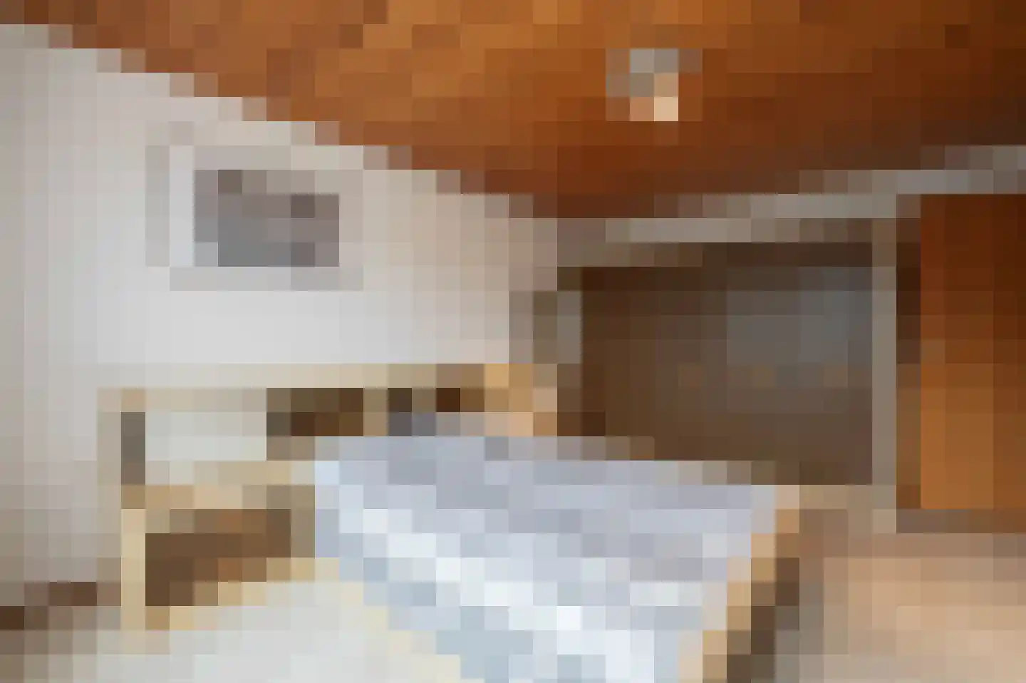 Ericalaan 35 Hoeven thumbnail 25