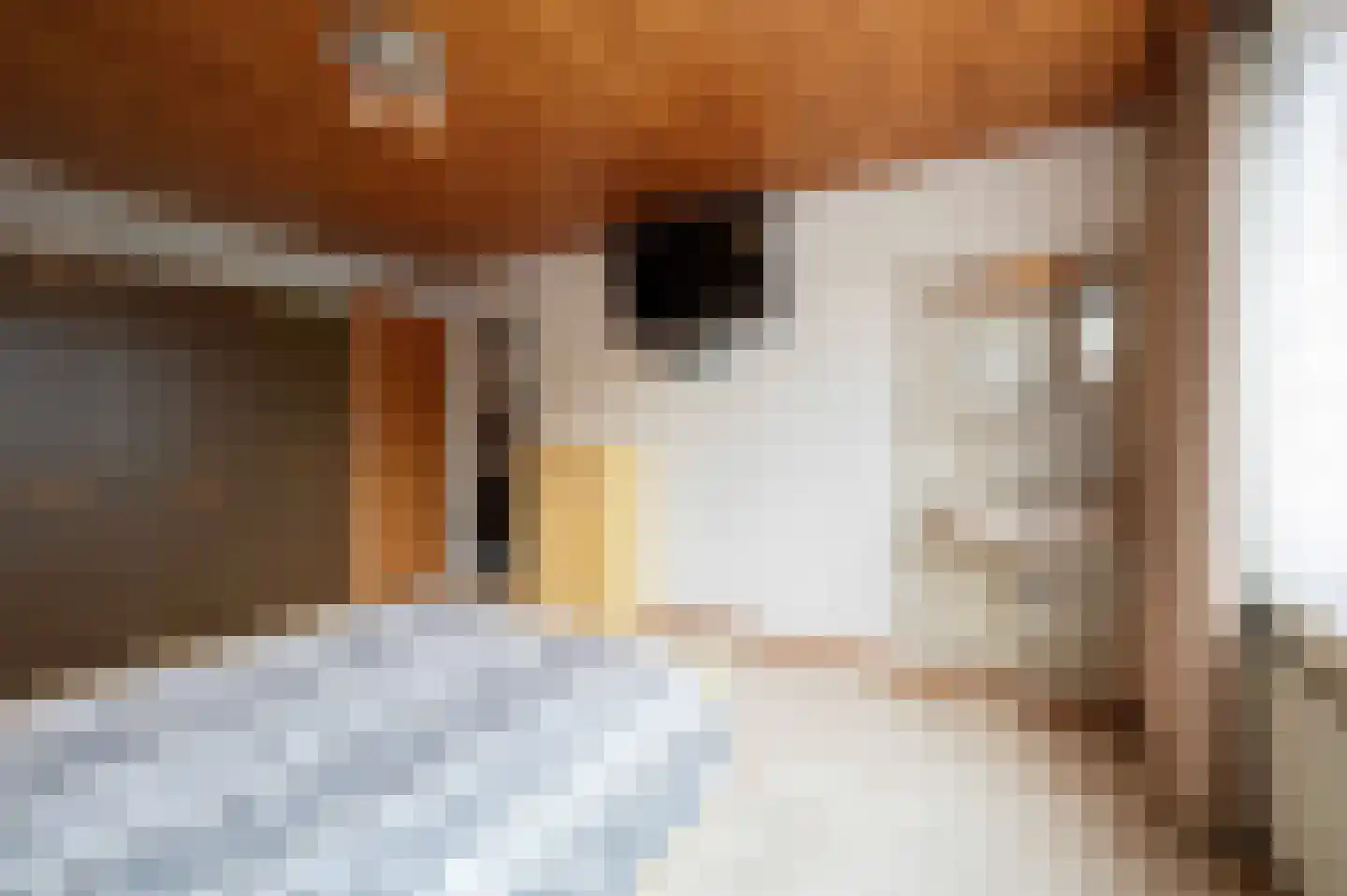 Ericalaan 35 Hoeven thumbnail 26