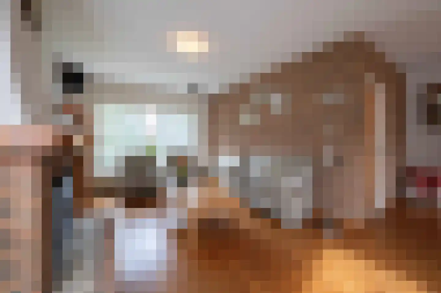 Ericalaan 35 Hoeven thumbnail 9