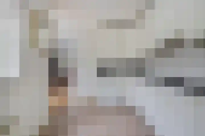 Ericalaan 35 Yerseke thumbnail 11