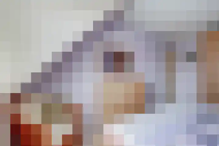 Ericalaan 35 Yerseke thumbnail 14