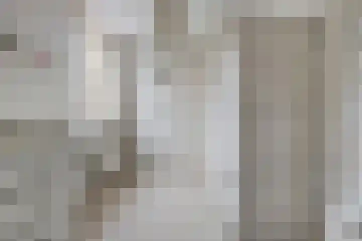 Ericalaan 35 Yerseke thumbnail 18