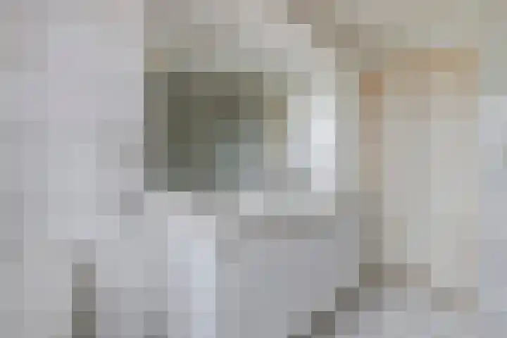 Ericalaan 35 Yerseke thumbnail 22