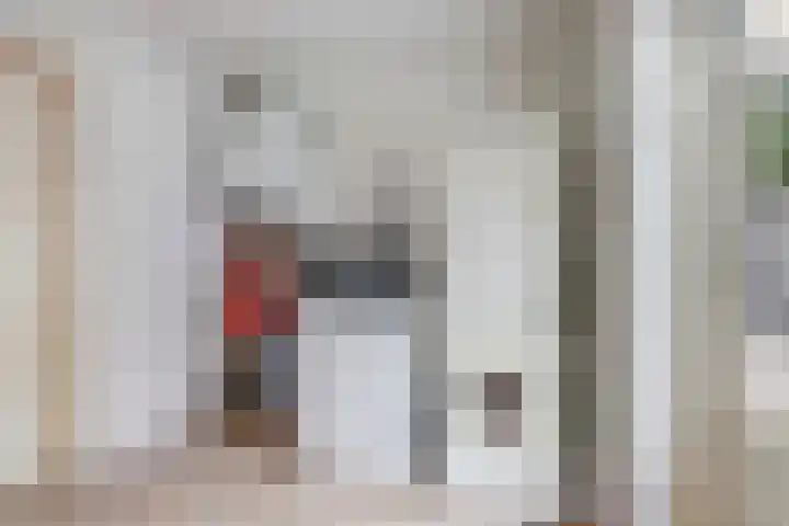 Ericalaan 35 Yerseke thumbnail 25