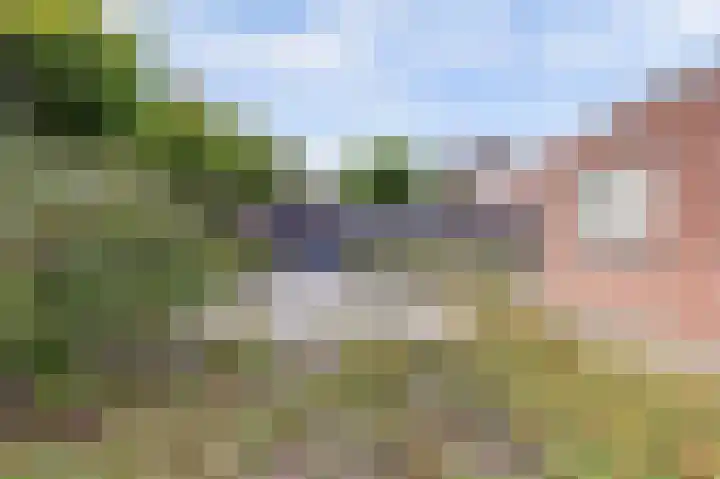 Ericalaan 35 Yerseke thumbnail 28
