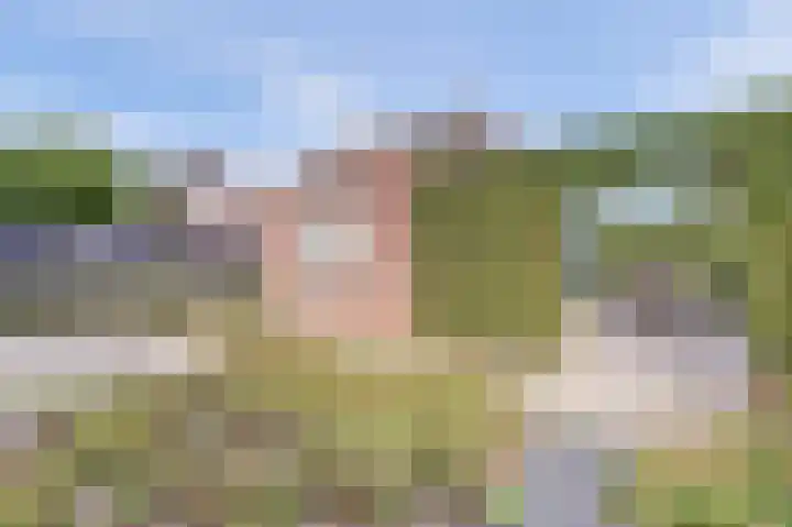 Ericalaan 35 Yerseke thumbnail 29