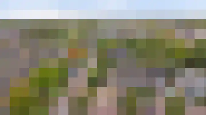 Ericalaan 35 Yerseke thumbnail 39