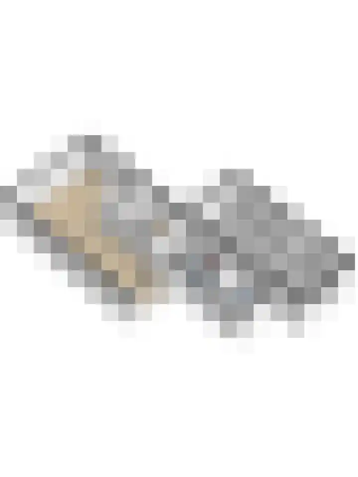 Ericalaan 35 Yerseke thumbnail 49