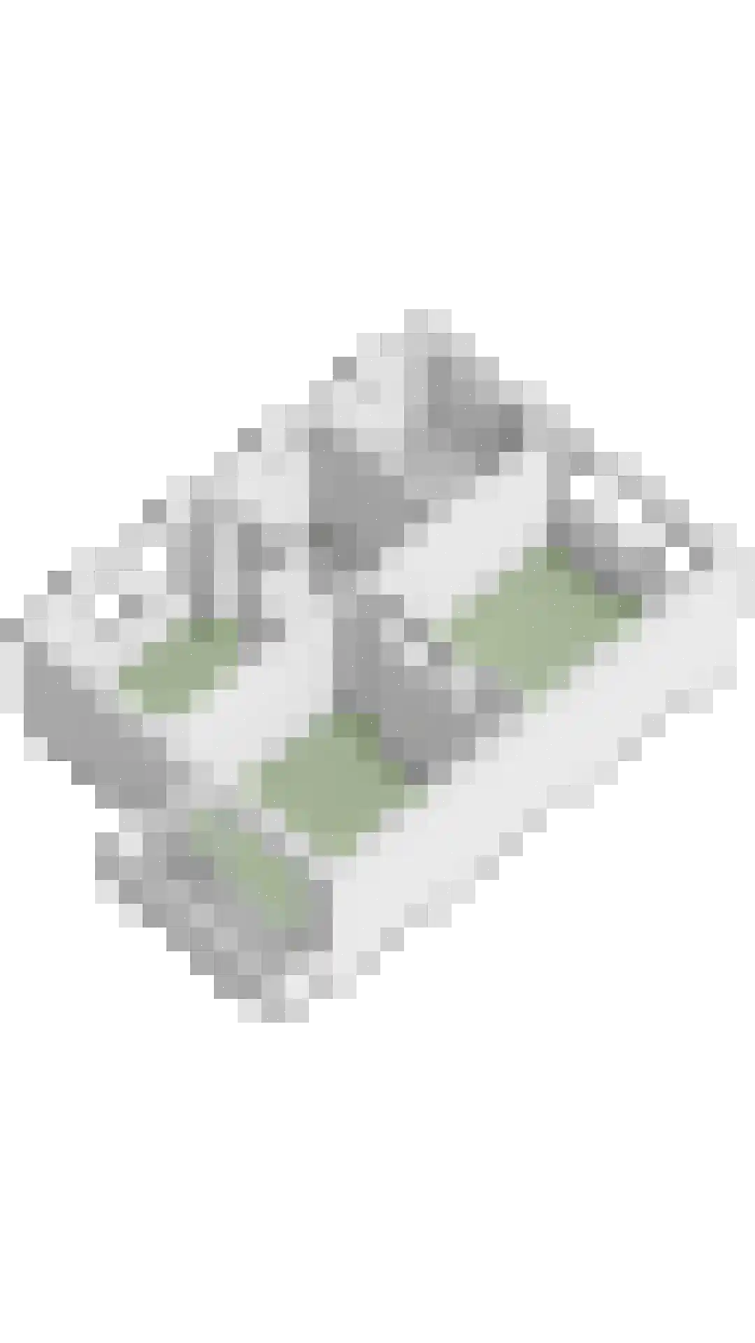 Ericalaan 36 Waalre thumbnail 39