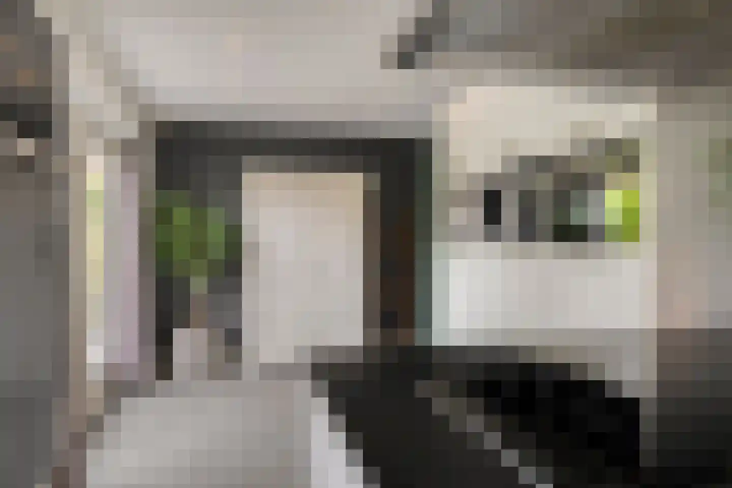 Ericalaan 37 Hoeven thumbnail 17