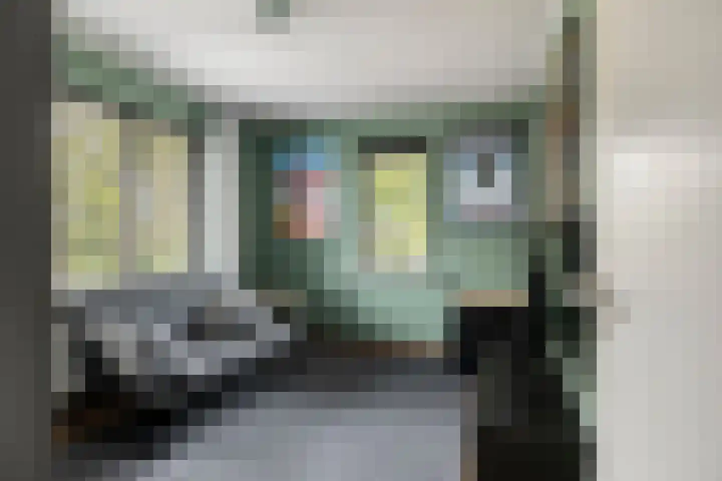 Ericalaan 37 Hoeven thumbnail 32
