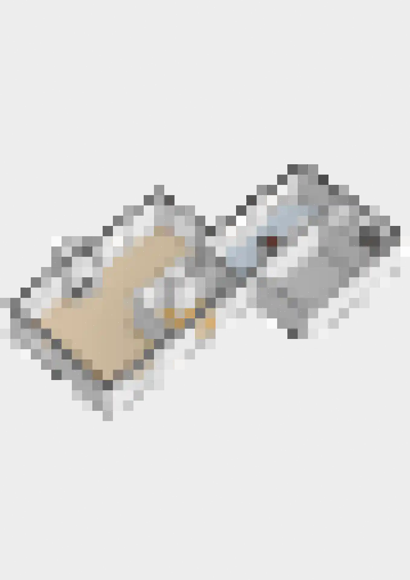Ericalaan 37 Hoeven thumbnail 63