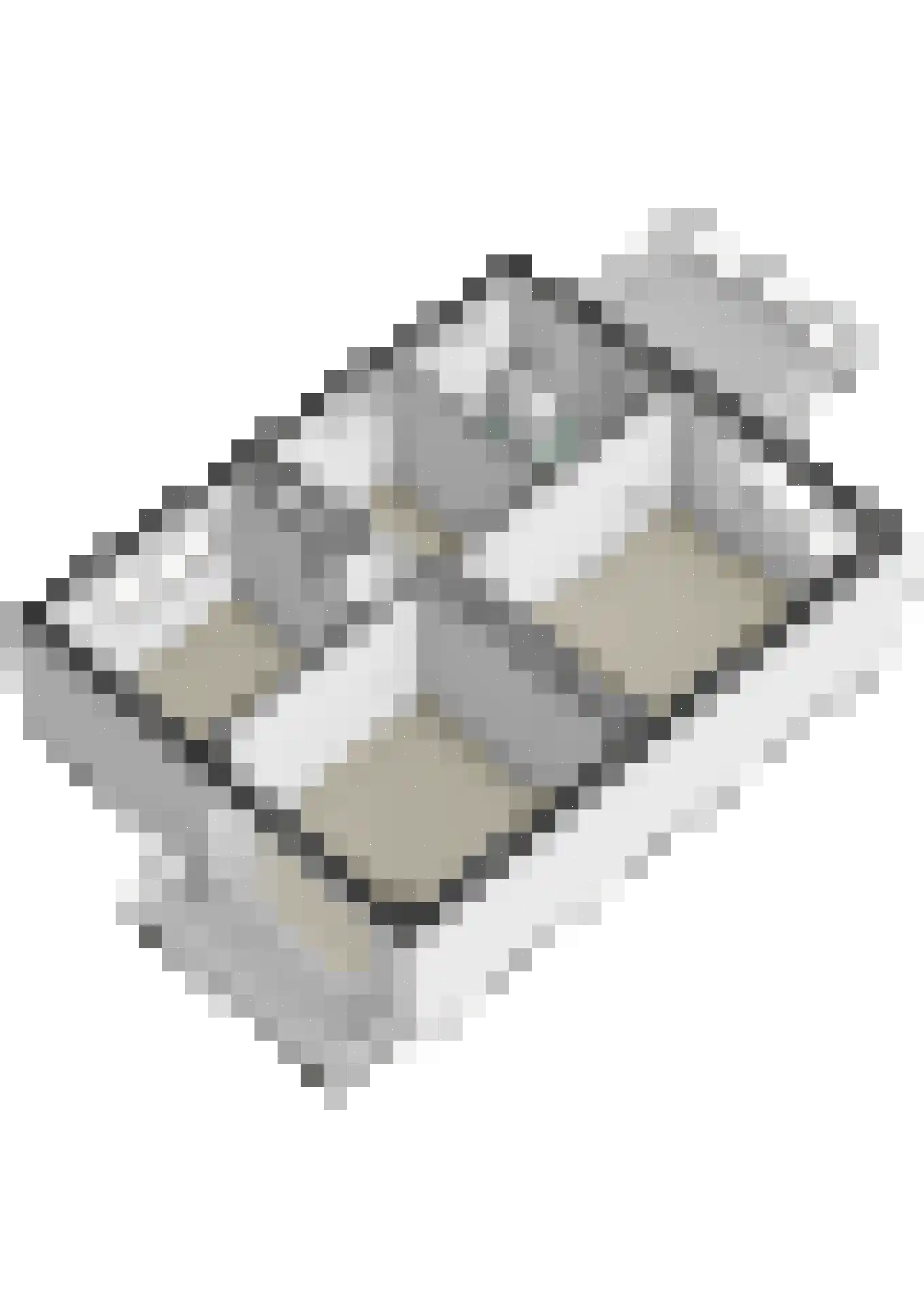 Ericalaan 42 Waalre thumbnail 38