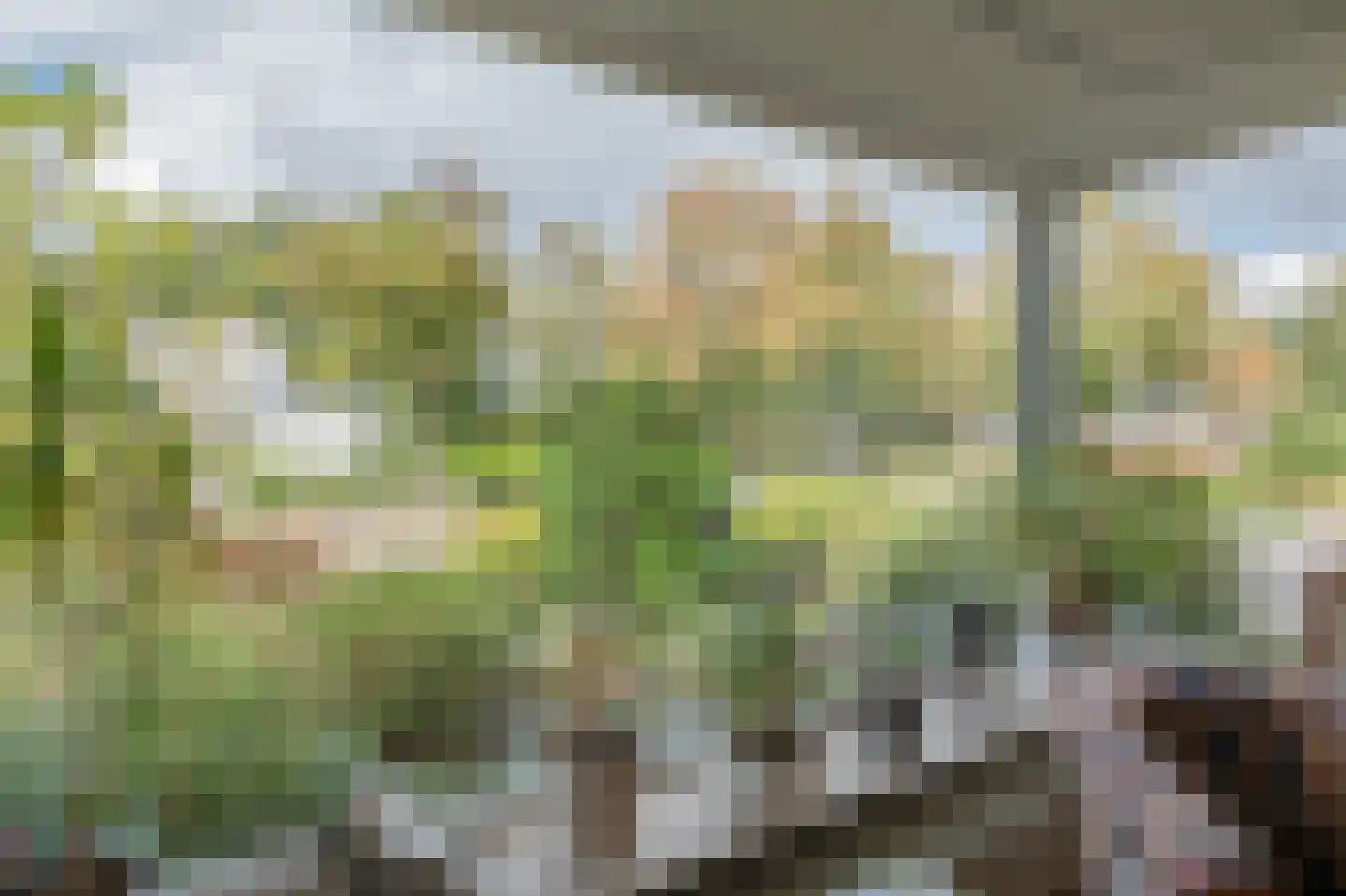 Ericalaan 42 Waalre thumbnail 9