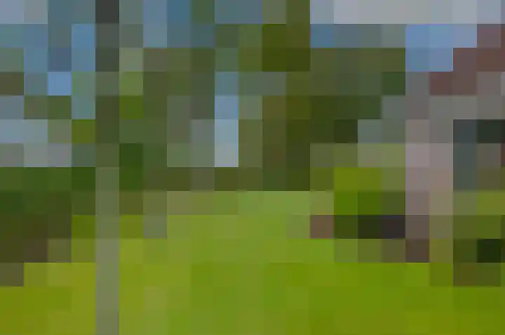 Ericalaan 46 Beilen thumbnail 38