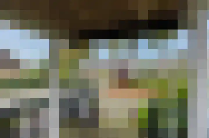 Ericalaan 46 Beilen thumbnail 40