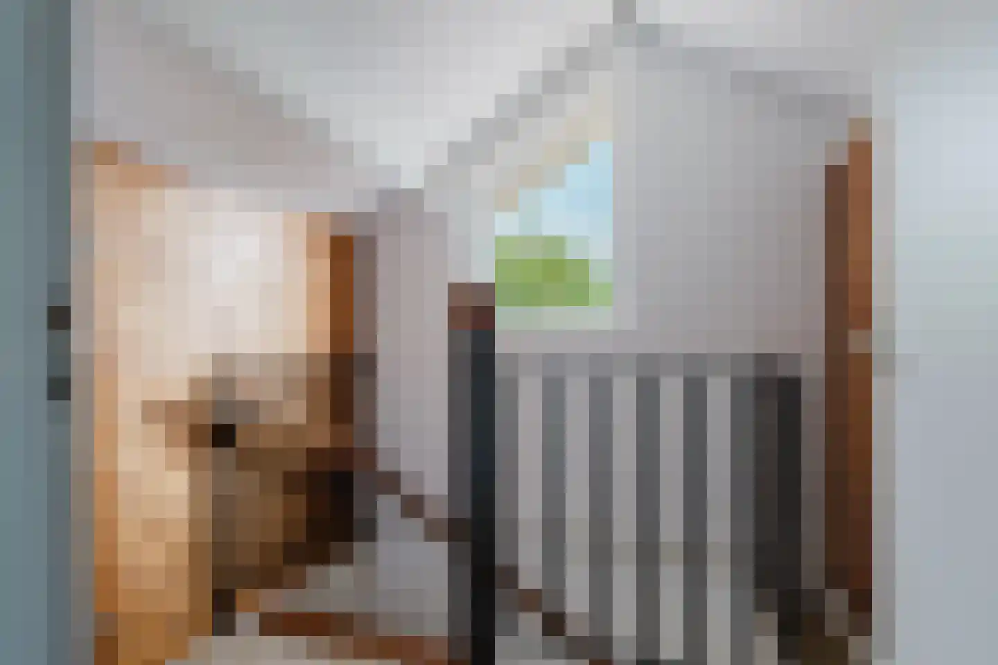 Ericalaan 48 Jubbega thumbnail 21