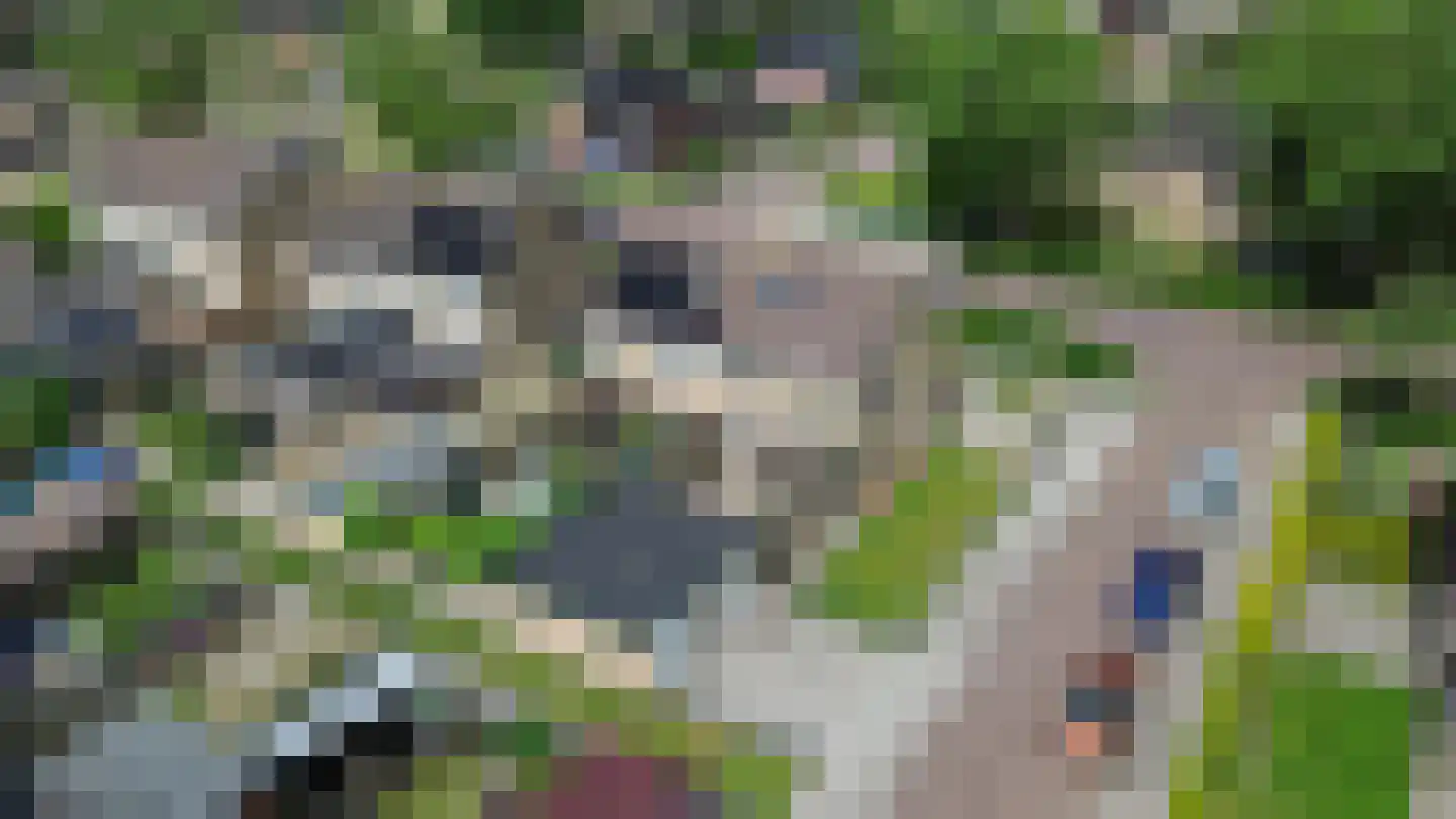 Ericalaan 48 Jubbega thumbnail 30