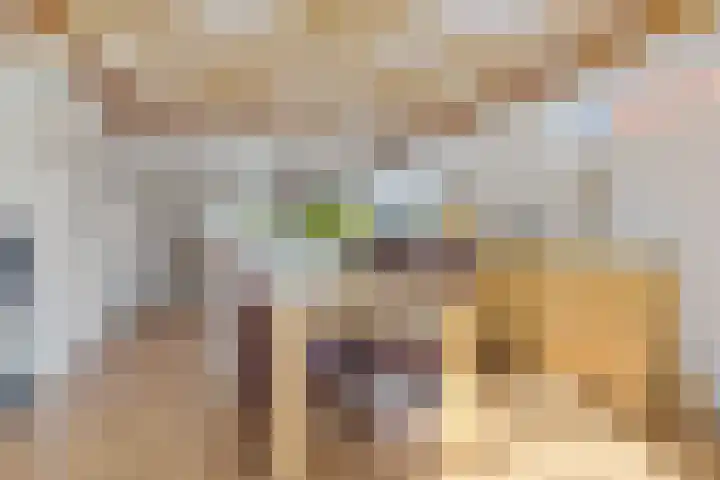 Ericalaan 5 Oostwold thumbnail 10
