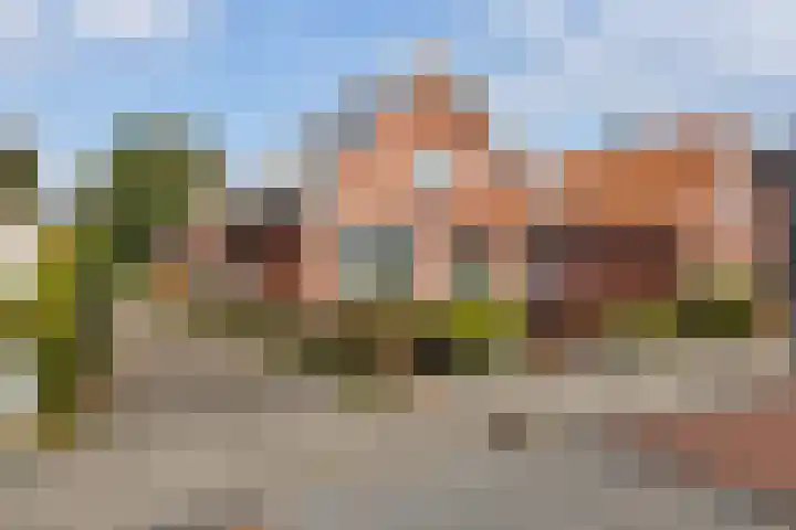 Ericalaan 5 Oostwold thumbnail 4