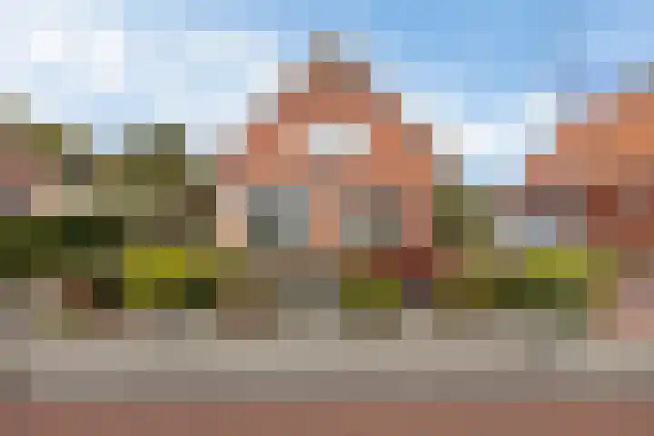 Ericalaan 5 Oostwold thumbnail 5
