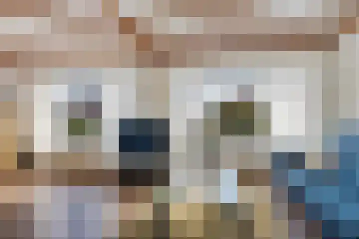 Ericalaan 5 Oostwold thumbnail 8