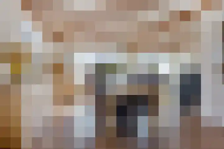 Ericalaan 5 Oostwold thumbnail 9