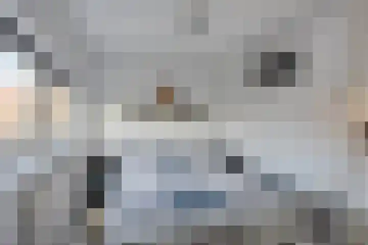 Ericalaan 6 Arnhem thumbnail 13