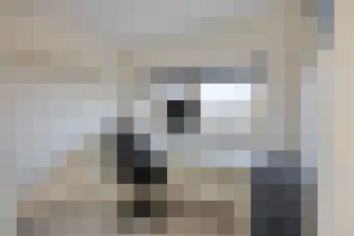 Ericalaan 6 Arnhem thumbnail 15