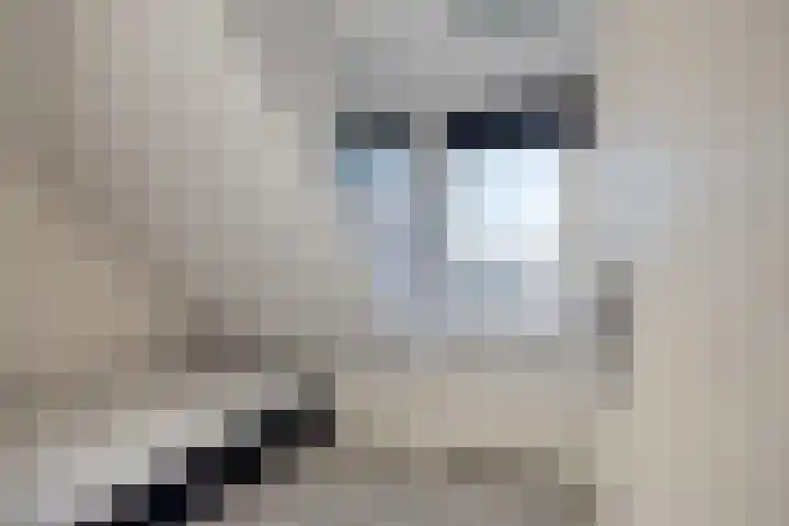 Ericalaan 6 Arnhem thumbnail 18