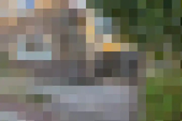 Ericalaan 6 Arnhem thumbnail 27