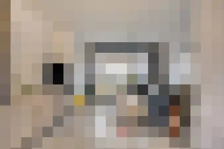 Ericalaan 6 Arnhem thumbnail 4