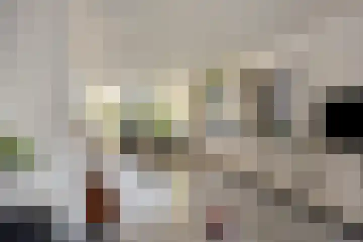 Ericalaan 6 Arnhem thumbnail 5