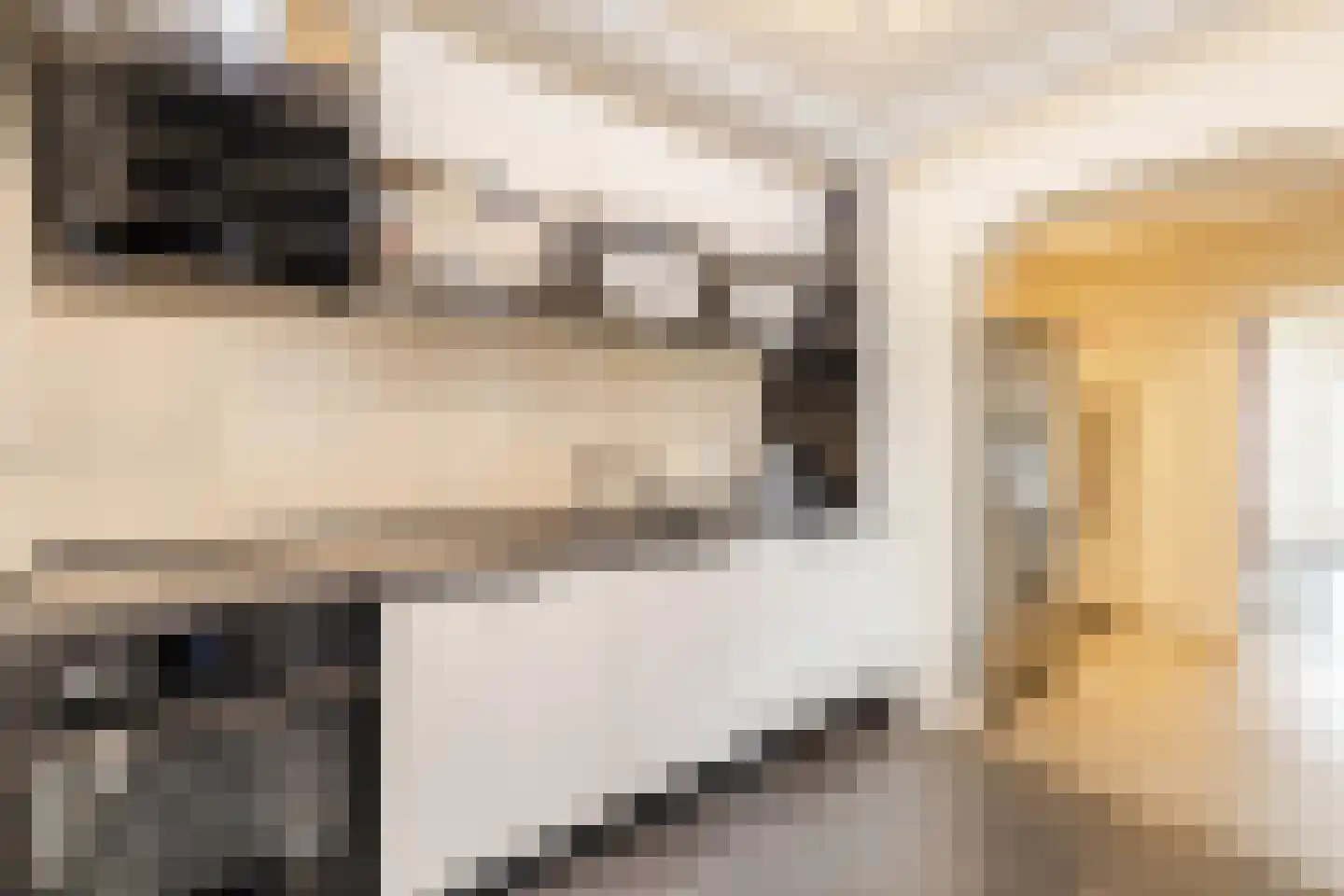 Ericalaan 66 Hoogeveen thumbnail 11