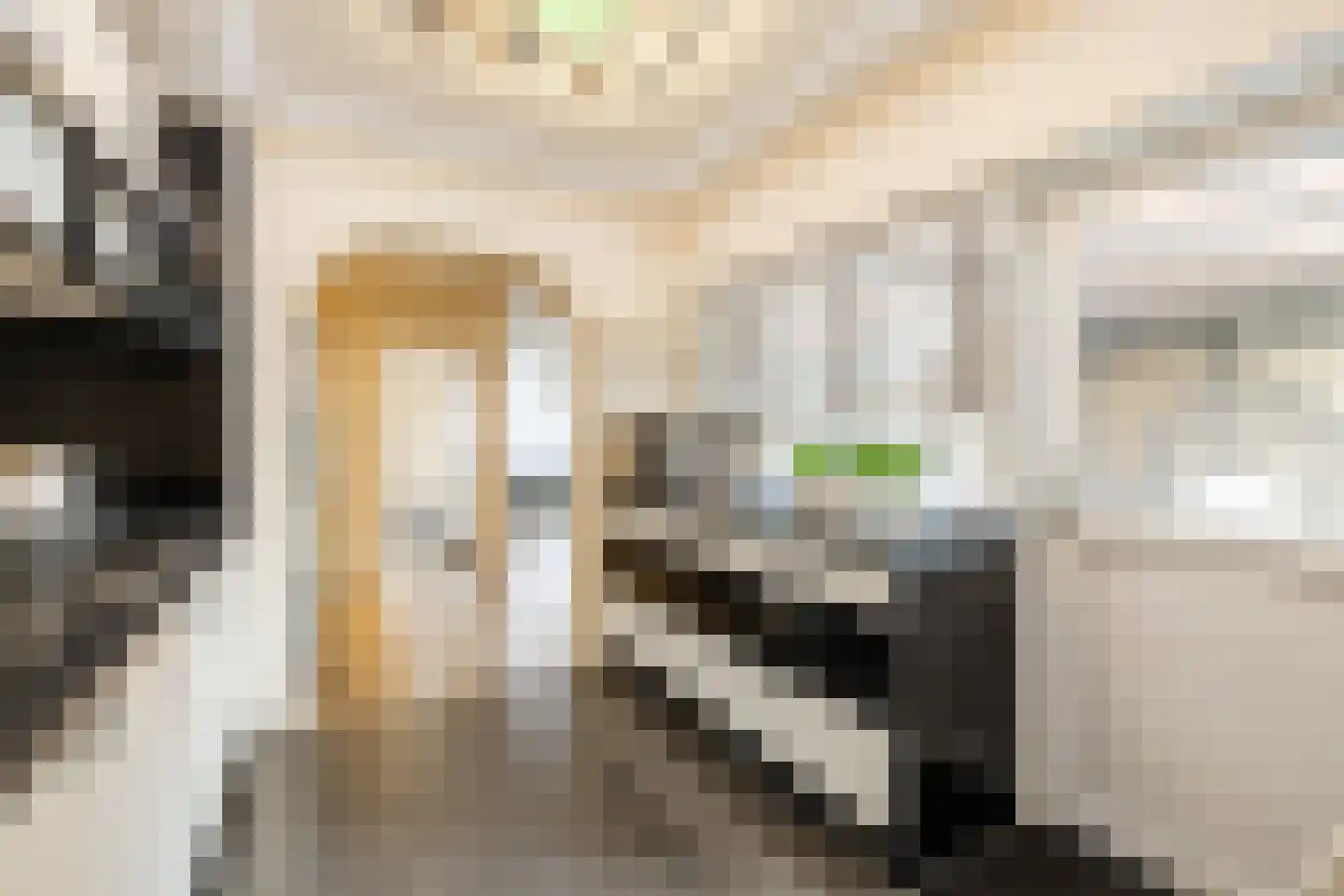 Ericalaan 66 Hoogeveen thumbnail 12