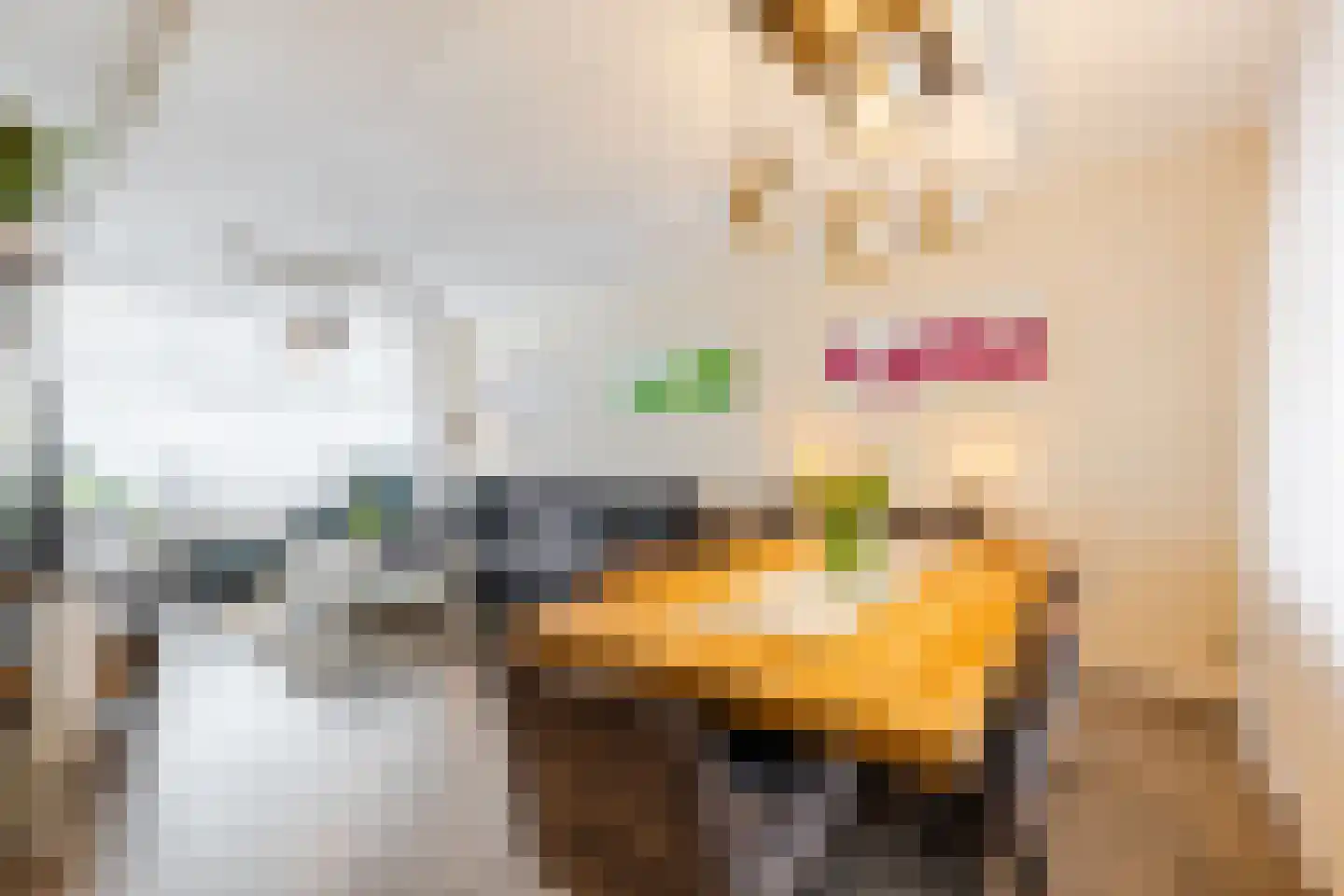 Ericalaan 66 Hoogeveen thumbnail 4