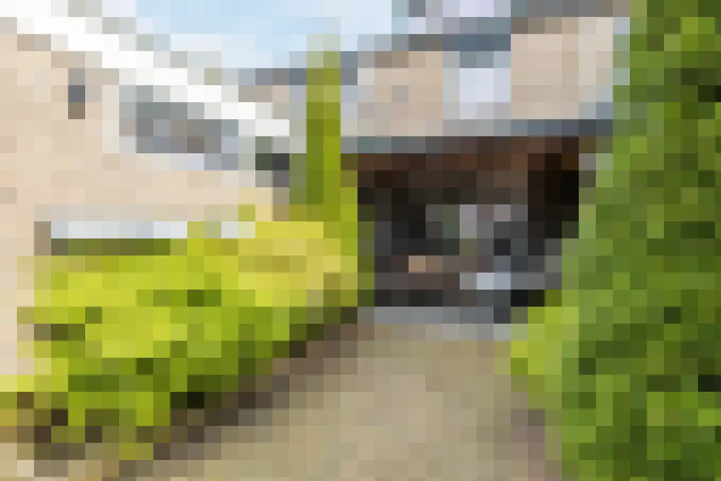 Ericalaan 66 Hoogeveen thumbnail 43