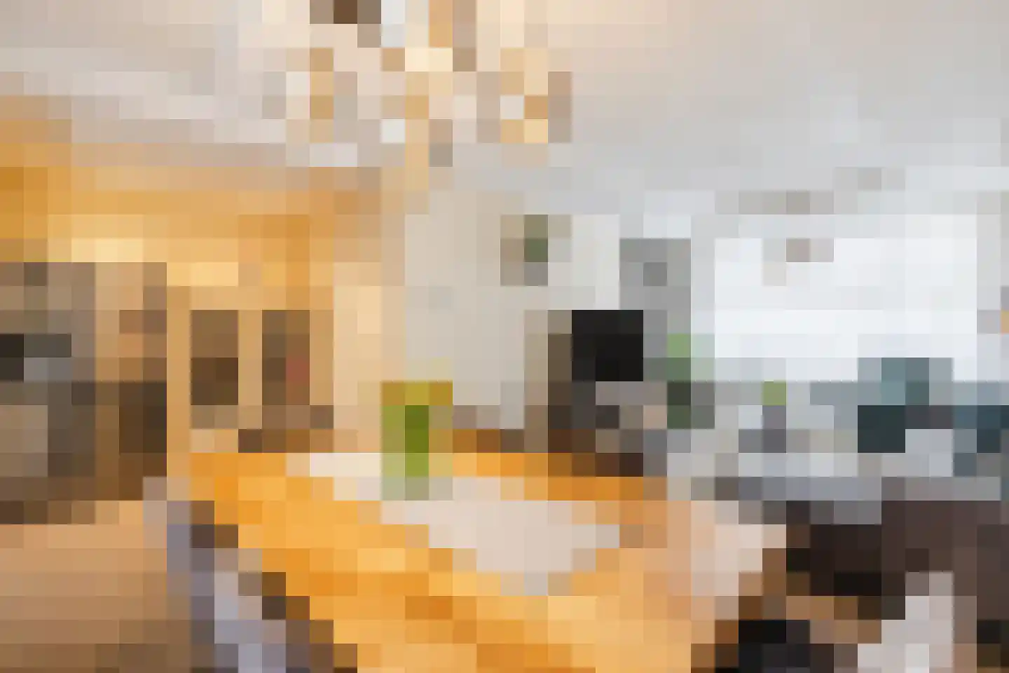 Ericalaan 66 Hoogeveen thumbnail 5