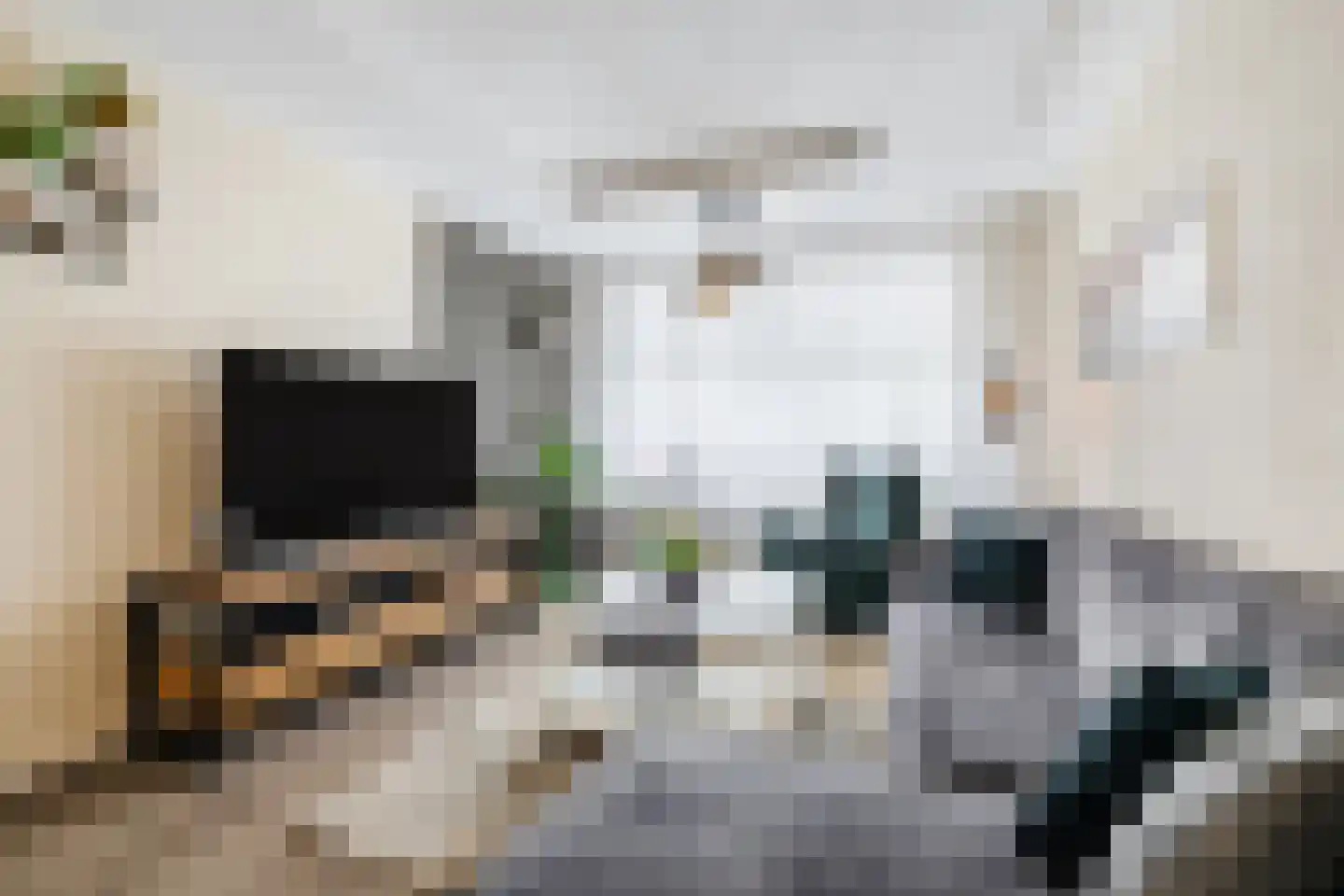 Ericalaan 66 Hoogeveen thumbnail 6