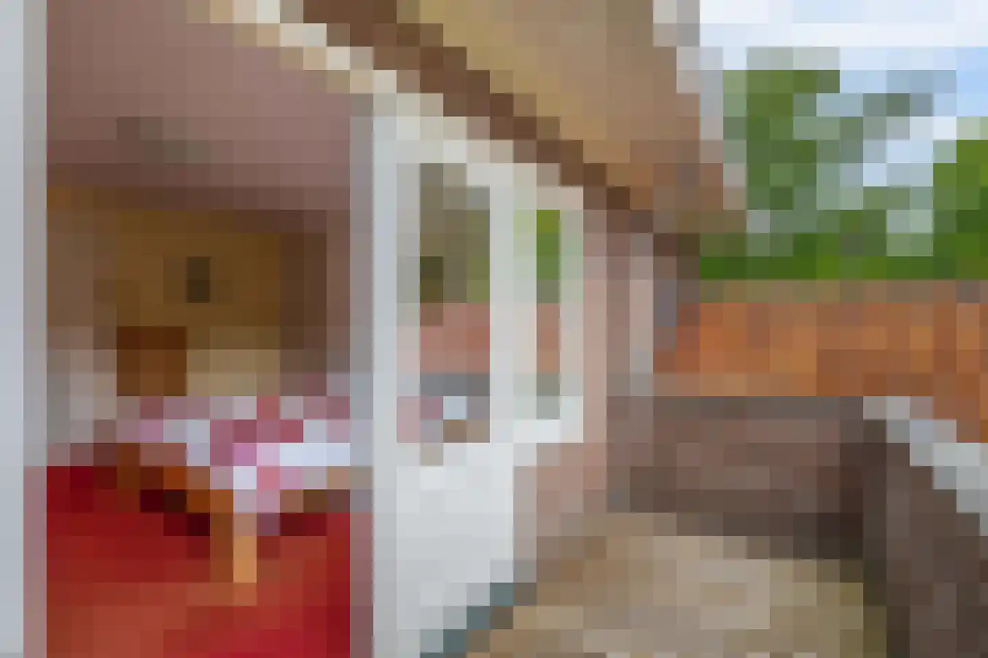 Ericalaan 8 Wageningen thumbnail 25